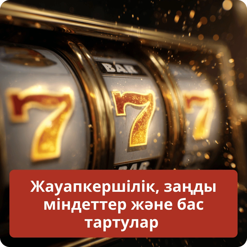 Пайдаланушының жауапкершілігі, заңды міндеттері және жауапкершіліктен бас тарту шарттары Жауапкершілік, заңды міндеттер және бас тартулар