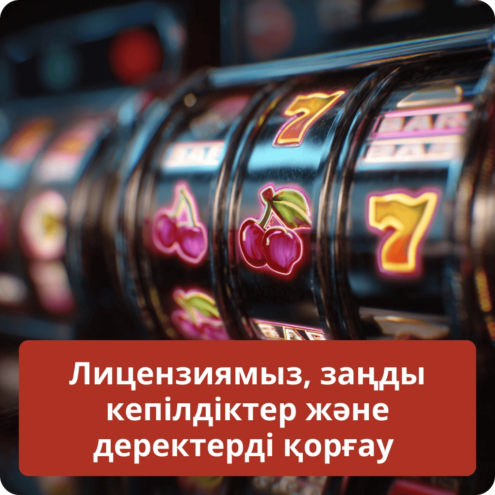 Біздің лицензиямыз, заңды кепілдіктеріміз және деректерді қорғау шаралары Лицензиямыз, заңды кепілдіктер және деректерді қорғау