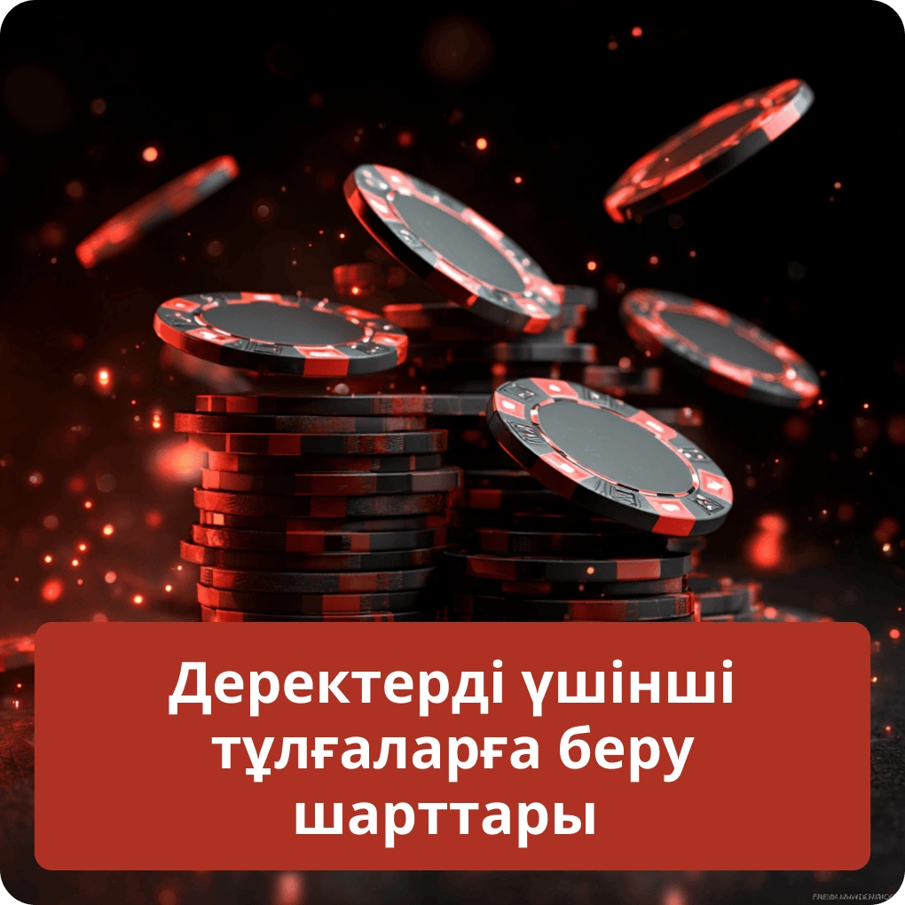 Жеке деректерді үшінші тұлғаларға берудің негізгі шарттары мен ережелері Деректерді үшінші тұлғаларға беру шарттары