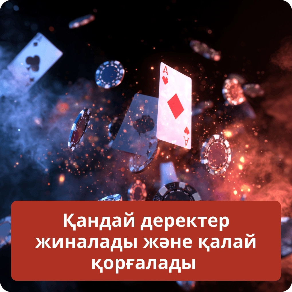 Біз қандай деректерді жинаймыз және оларды қалай қорғаймыз Қандай деректер жиналады және қалай қорғалады